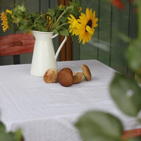 Holiday Home Trnavsko Bogojina Buitenkant foto