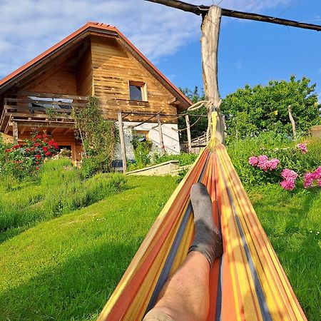 Holiday Home Trnavsko Bogojina Buitenkant foto