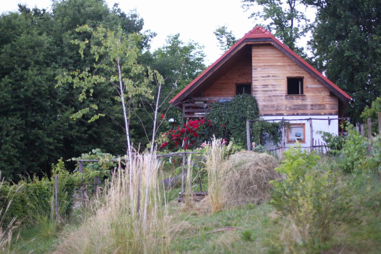 Holiday Home Trnavsko Bogojina Buitenkant foto