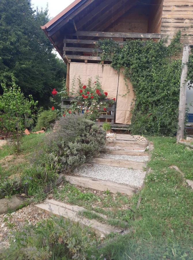 Holiday Home Trnavsko Bogojina Buitenkant foto