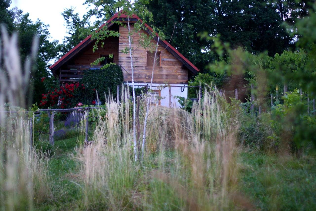 Holiday Home Trnavsko Bogojina Buitenkant foto