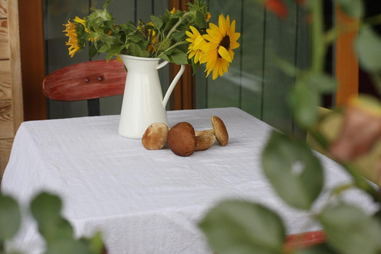 Holiday Home Trnavsko Bogojina Buitenkant foto